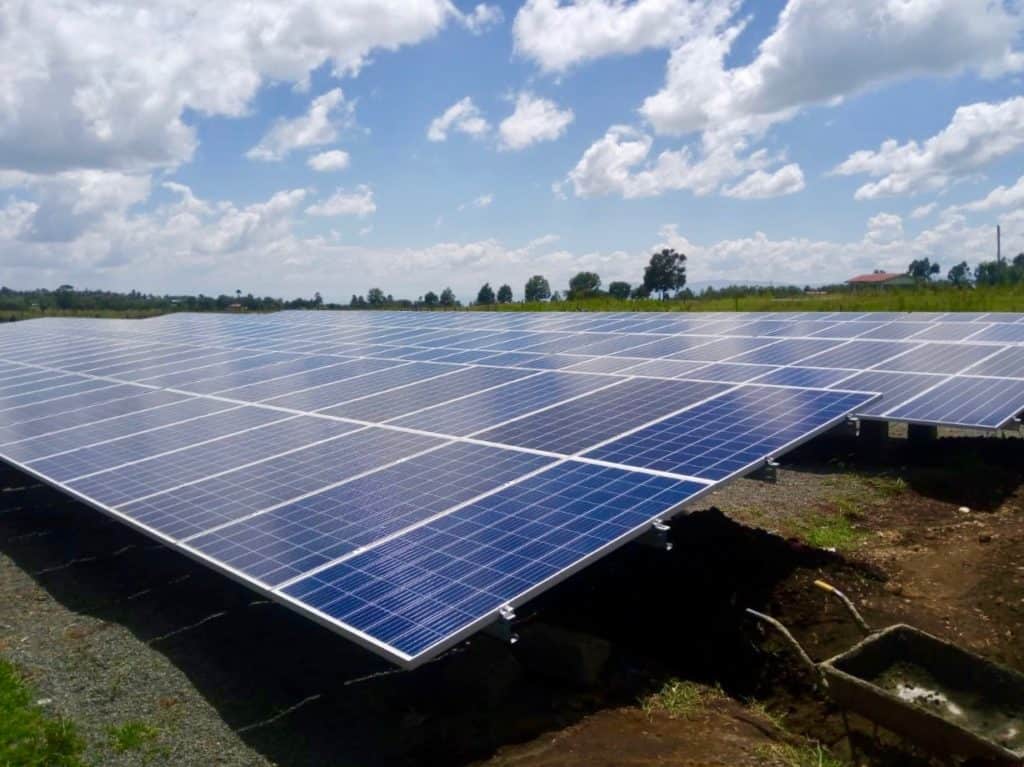 110 kWp-Solaranlage für Blumenzüchter United Selections