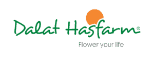 Dalat Hasfarm logo